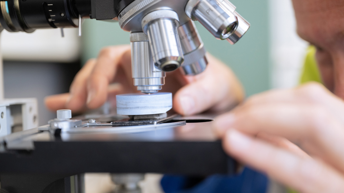 REACH (Registration, Evaluation, Authorization, and Restriction of Chemicals)